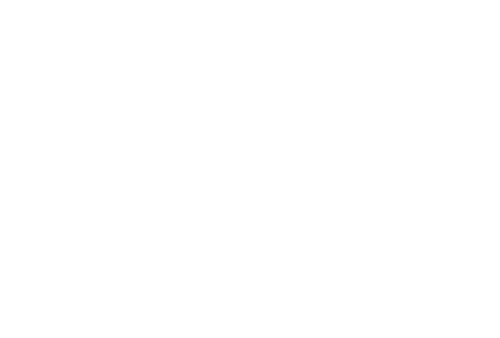 Center for Career & Professional Development